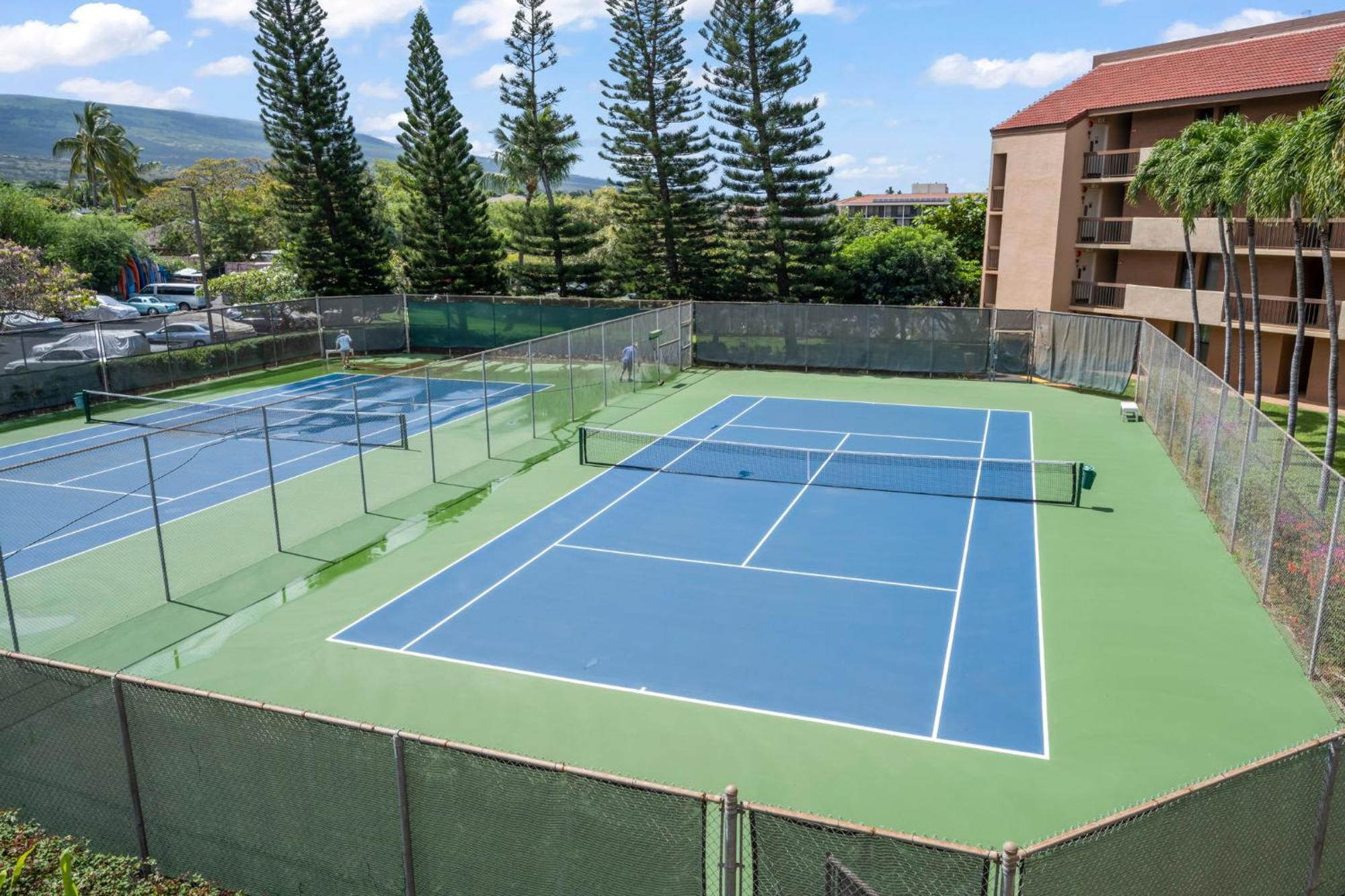 Welcoming Serene Tropical Get-away At The Pool Kihei